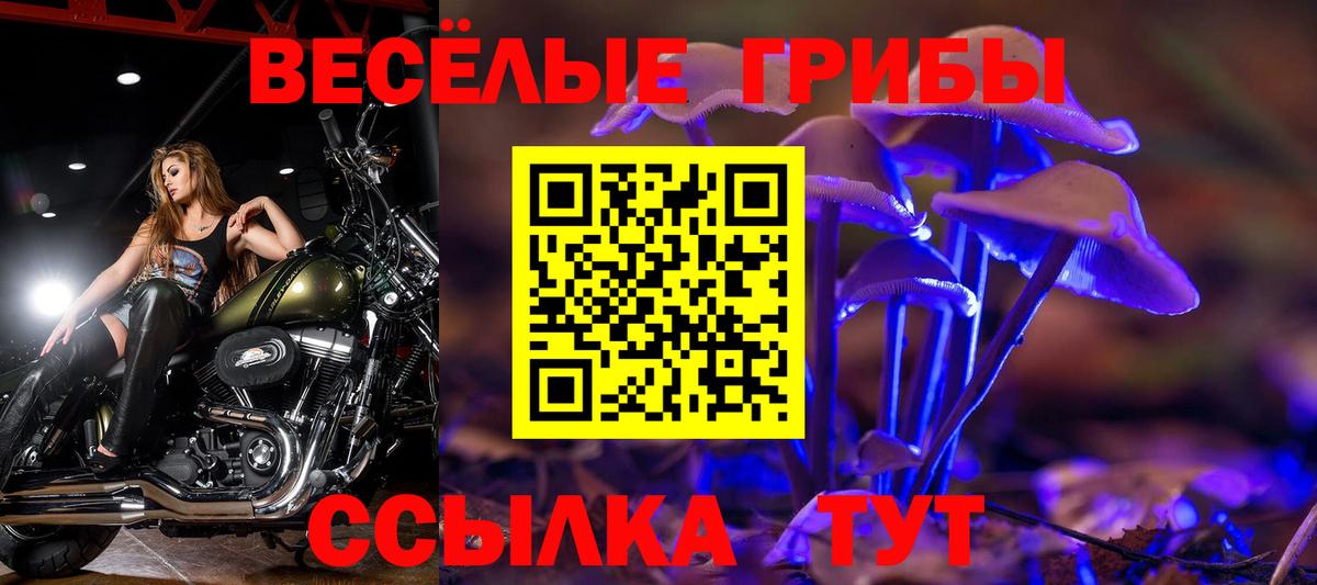 Галлюциногенные грибы Psilocybe  Псилоцибиновые грибы GOLDEN TEACHER  Лениногорск  Вход с VPN 